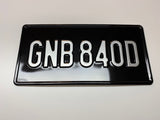 USA Style Gloss Black and Silver Pressed Show Plate