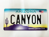 Nevada USA Style Pressed Plate