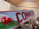 Wales Welsh Flag Show Plate
