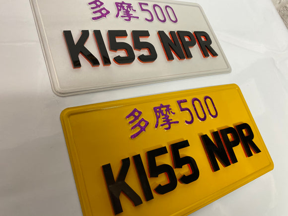 Pair 4D Next Gen Jap JDM Style Show Plate